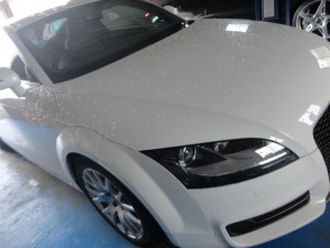 2,21 AUDI TT PIVOT SSTEP (1)