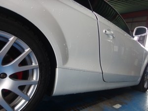 2,21 AUDI TT PIVOT SSTEP (6)