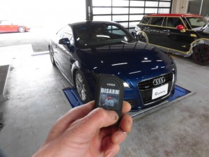 2019 1,9 AUDI TT 8J VIPER (5)