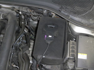 CIMG0950